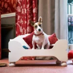 Dog Friendly Hotels in London